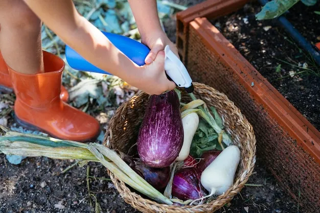 cómo podar la berenjena para mejorar su producción