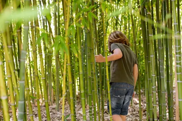 como podar un bambu