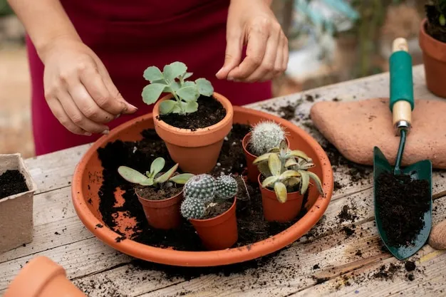 como podar un cactus