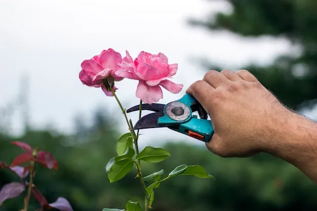 como y cuando podar azaleas