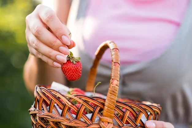 cuando podar las fresas